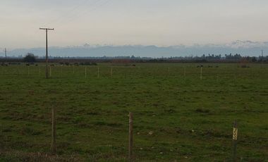 PARCELAS DE 5.000 M2, EN SECTOR LA ESPERANZA, ESTACIÓN VILLA ALEGRE, COMUNA DE YERBAS BUENAS, (LUZ ELÉCTRICA INCLUIDA).