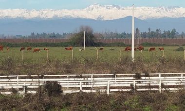 PARCELAS DE 5.000 M2, EN SECTOR LA ESPERANZA, ESTACIÓN VILLA ALEGRE, COMUNA DE YERBAS BUENAS, (LUZ ELÉCTRICA INCLUIDA).