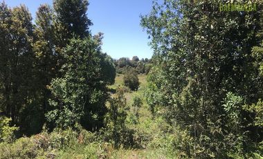 Sitio en Venta en Trapen