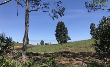 Sitio en Venta en Trapen