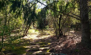 Parcela en Venta en Lago Colbún /río Maule