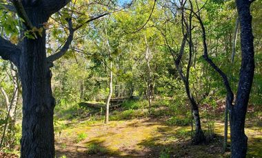 Parcela en Venta en Lago Colbún /río Maule