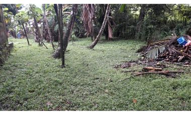 SE VENDE LOTE DE 980 EN MARIA CHIQUITA AREA DE PLAYA, COLON