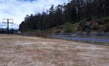 Arriendo Excelente Terreno de 6.000 m² Sector Granados/monte Olivo