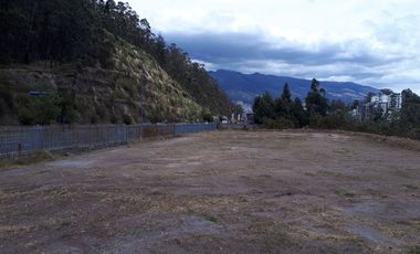 Arriendo Excelente Terreno de 6.000 m² Sector Granados/monte Olivo