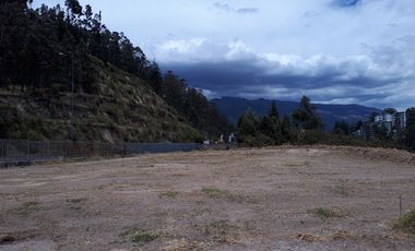 Arriendo Excelente Terreno de 6.000 m² Sector Granados/monte Olivo