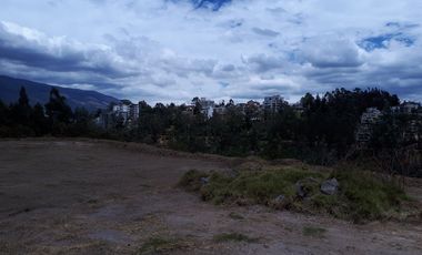 Arriendo Excelente Terreno de 6.000 m² Sector Granados/monte Olivo