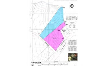 SE VENDE LOTE VA CIRCASIA - AUTOPISTA DEL CAFE