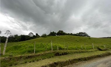 SE VENDE LOTE VA CIRCASIA - AUTOPISTA DEL CAFE