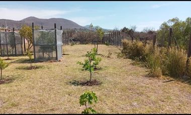 FINCA EN SALIDA A QUIROGA