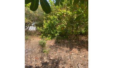 Terreno en venta en barra de Coyuca