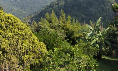 casa campestre en arriendo/venta en vereda casiano bajo. Cod A124625