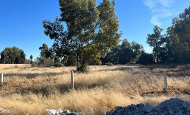 TERRENO EN RENTA CAMINO A SAN FRANCISCO DE LOS ROMO