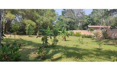 Tarapoto - Terreno circulado con quebrada - 1 ha.