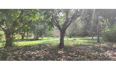 Tarapoto - Terreno circulado con quebrada - 1 ha.