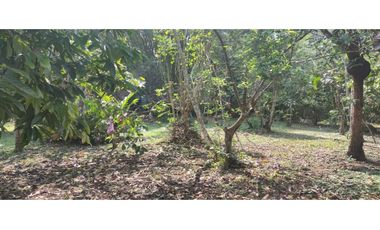 Tarapoto - Terreno circulado con quebrada - 1 ha.