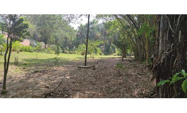 Tarapoto - Terreno circulado con quebrada - 1 ha.