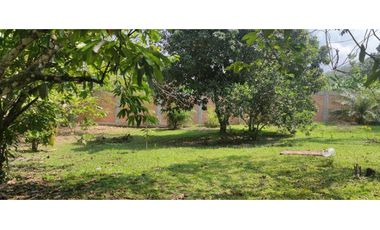 Tarapoto - Terreno circulado con quebrada - 1 ha.