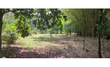 Tarapoto - Terreno circulado con quebrada - 1 ha.