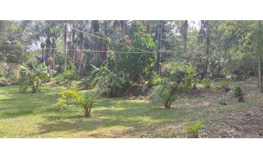 Tarapoto - Terreno circulado con quebrada - 1 ha.