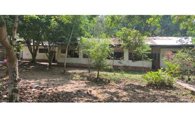 Tarapoto - Terreno circulado con quebrada - 1 ha.