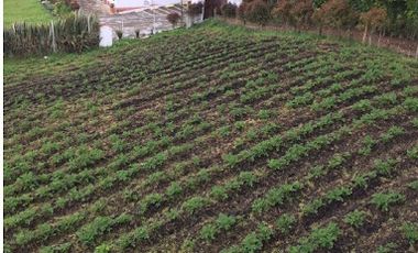 VENTA de LOTES en LA CALERA