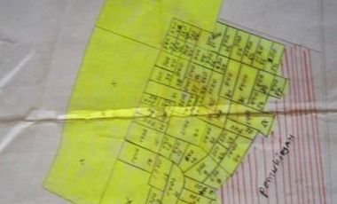 Cheap Land For Sale 3.5 Ha in Batujajar West Bandung