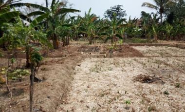 Cheap Land For Sale 3.5 Ha in Batujajar West Bandung