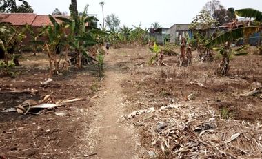 Cheap Land For Sale 3.5 Ha in Batujajar West Bandung