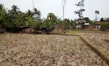 Cheap Land For Sale 3.5 Ha in Batujajar West Bandung