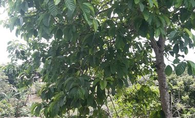 venta casa en Las Delicia via chone km 29