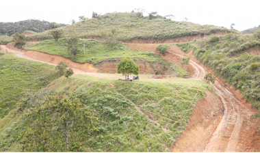 VENTA DE LOTE EN SAN ROQUE ,ANTIOQUIA