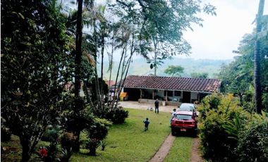 Se vende acogedora Finca en Fredonia Antioquia (MJ)