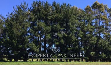 Isla en bahía Caulín, Chiloé ¡OPORTUNIDAD!