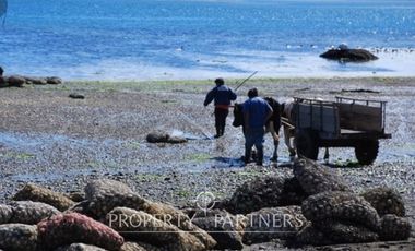 Isla en bahía Caulín, Chiloé ¡OPORTUNIDAD!