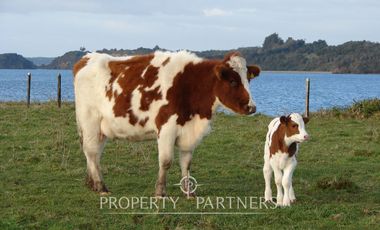 Isla en bahía Caulín, Chiloé ¡OPORTUNIDAD!