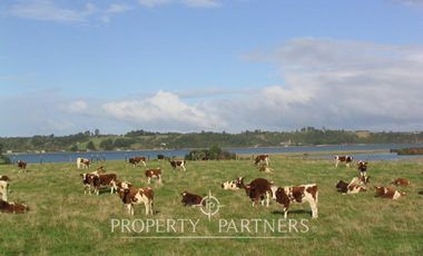 Isla en bahía Caulín, Chiloé ¡OPORTUNIDAD!