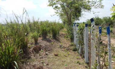 lote en venta en los almendros. Cod V83790