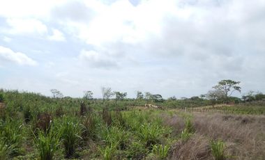 lote en venta en los almendros. Cod V83790