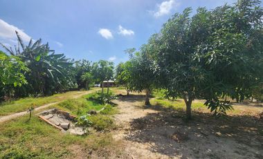 lote en venta en los almendros. Cod V107444
