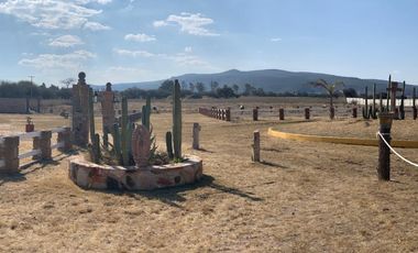 RANCHO BORDO BLANCO, TEQUISQUIAPAN, QRO.