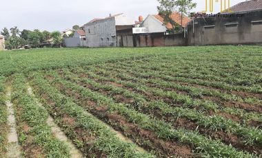 Tanah sangat strategis di gedebage bandung cocok untuk dibuat perumahan | NOVIETHA