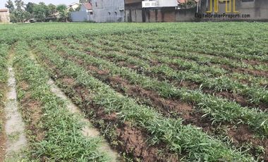Tanah sangat strategis di gedebage bandung cocok untuk dibuat perumahan | NOVIETHA