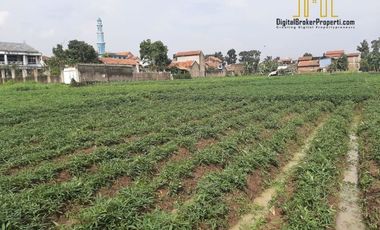 Tanah sangat strategis di gedebage bandung cocok untuk dibuat perumahan | NOVIETHA