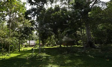 Hermosa casa ecologica al canto del Rio Shilcayo