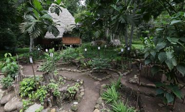 Hermosa casa ecologica al canto del Rio Shilcayo