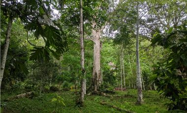Hermosa casa ecologica al canto del Rio Shilcayo