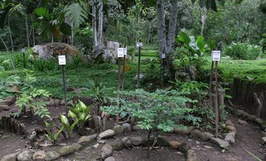 Hermosa casa ecologica al canto del Rio Shilcayo
