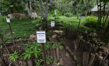 Hermosa casa ecologica al canto del Rio Shilcayo