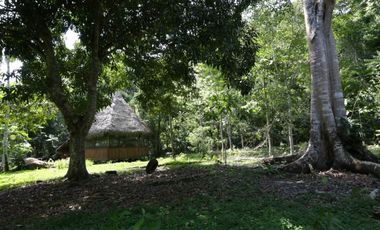 Hermosa casa ecologica al canto del Rio Shilcayo